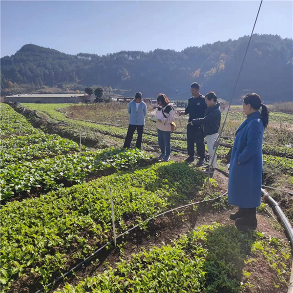 1704165507755036.png 圖片1_副本.png