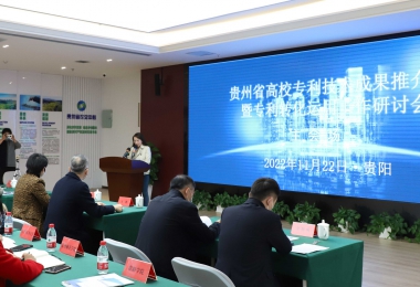 加強知識產權運營 助力實體經濟發(fā)展——貴州省高校專利技術成果推介會暨專利轉化運用研討會圓滿召開