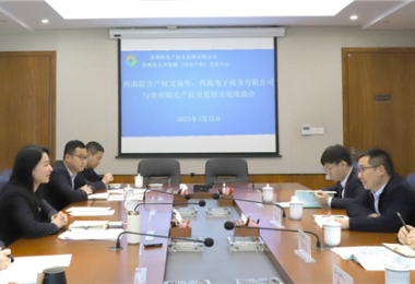 經(jīng)驗交流  共促發(fā)展——西南聯(lián)合產(chǎn)權交易所、西藏電子商務有限公司 與貴州陽光產(chǎn)權交易所交流座談