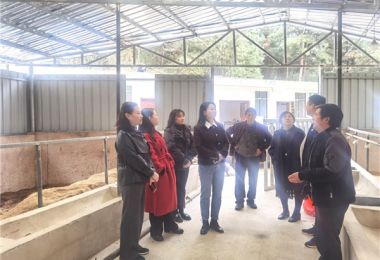 貴州陽(yáng)光產(chǎn)權(quán)交易所開(kāi)展鄉(xiāng)村振興調(diào)研和普法宣傳