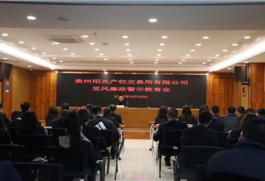 貴州陽(yáng)光產(chǎn)權(quán)交易所開(kāi)展黨風(fēng)廉政警示教育大會(huì)