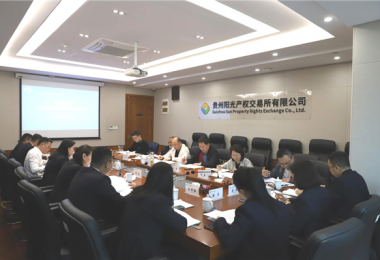 貴州省地方金融監(jiān)管局、貴州證監(jiān)局、貴陽市金融辦到貴州陽光產(chǎn)權(quán)交易所、貴州環(huán)交所開展權(quán)益類交易場所調(diào)研