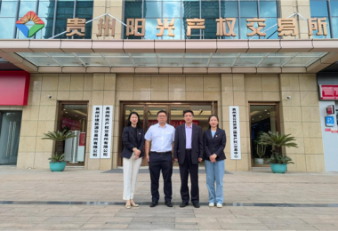 深入交流  共商發(fā)展——廣西北部灣產(chǎn)權交易所集團股份有限公司與貴州陽光產(chǎn)權交易所開展交流座談