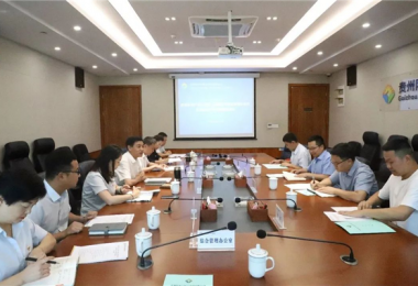 西南聯(lián)合產(chǎn)權(quán)交易所、西藏電子商務(wù)有限公司與貴州陽光產(chǎn)權(quán)交易所交流座談會