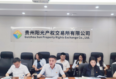 貴州陽光產(chǎn)權(quán)交易所有限公司召開2023年上半年生產(chǎn)經(jīng)營分析會