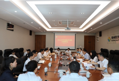 堅(jiān)持自我革命 筑牢發(fā)展基石——貴州陽光產(chǎn)權(quán)交易所黨委召開2023年上半年全面從嚴(yán)治黨分析研判會