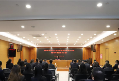 以案為鑒，警醒前行——貴州陽(yáng)光產(chǎn)權(quán)交易所黨委組織召開(kāi)2024年警示教育大會(huì)