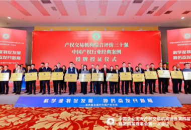 貴州陽(yáng)光產(chǎn)權(quán)交易所當(dāng)選中國(guó)產(chǎn)權(quán)協(xié)會(huì)常務(wù)理事單位